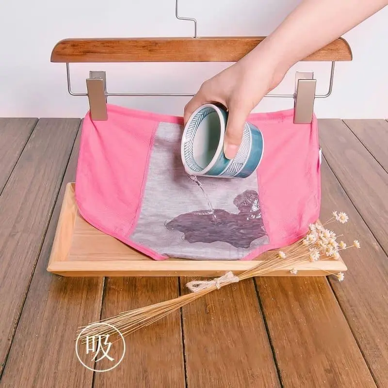 Leak Proof, Incontinence and Period Underwear for Women - Image 3